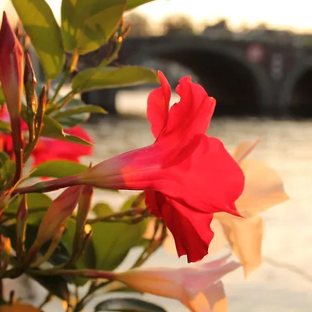 Affittacamere Houseboat Orpheus