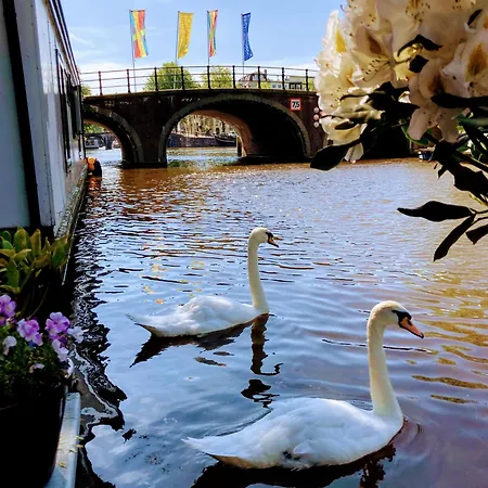 Houseboat Orpheus Pensjonat Amsterdam